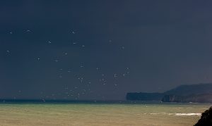 Luz de tormenta en la costa cantábrica comprar fotografía