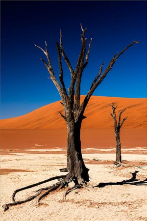 Pares desierto de Namibia Fotografía Fine Art impresa