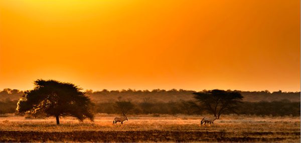 África, paisaje y naturaleza
