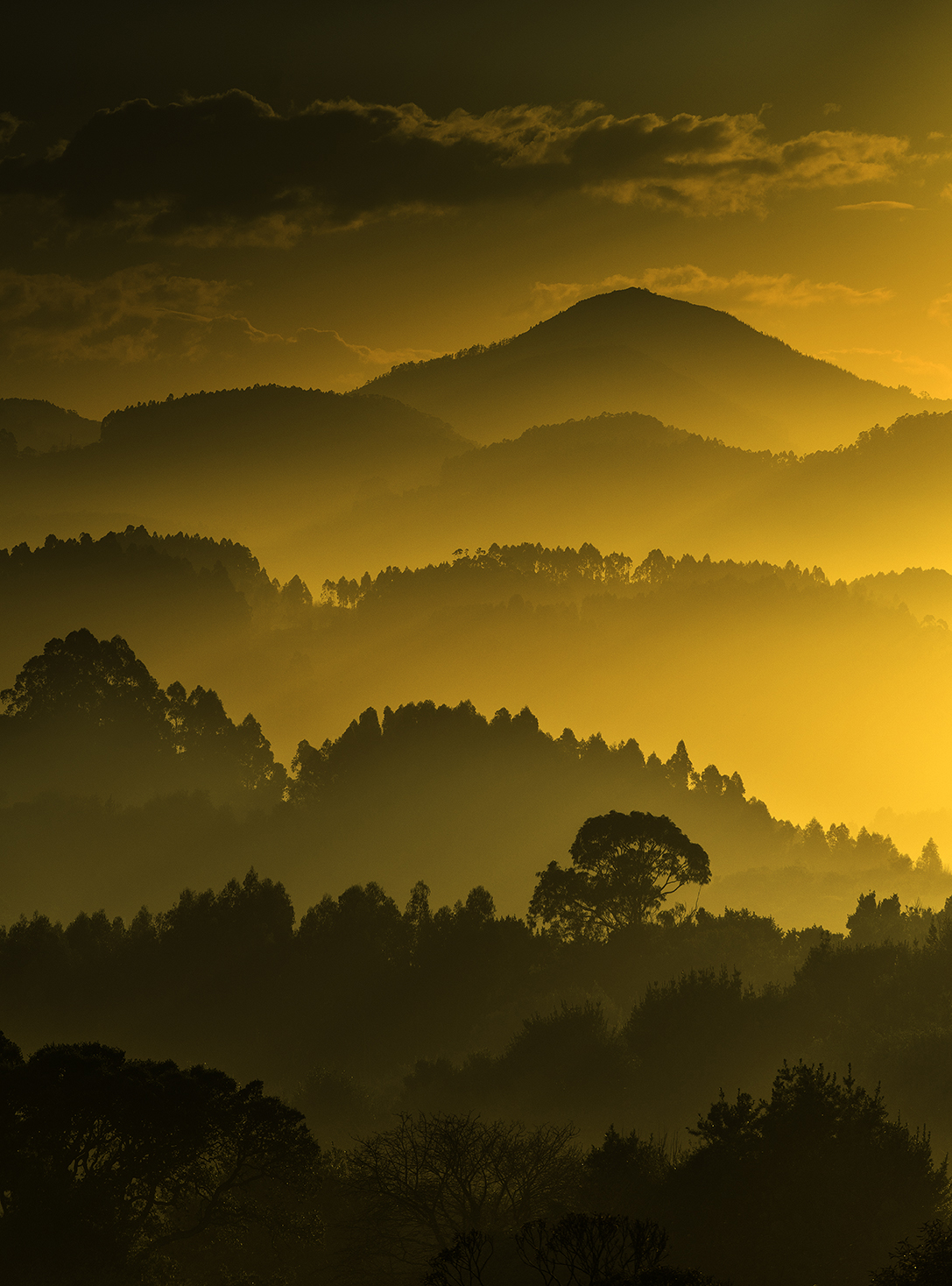 crepúsculo en el valle