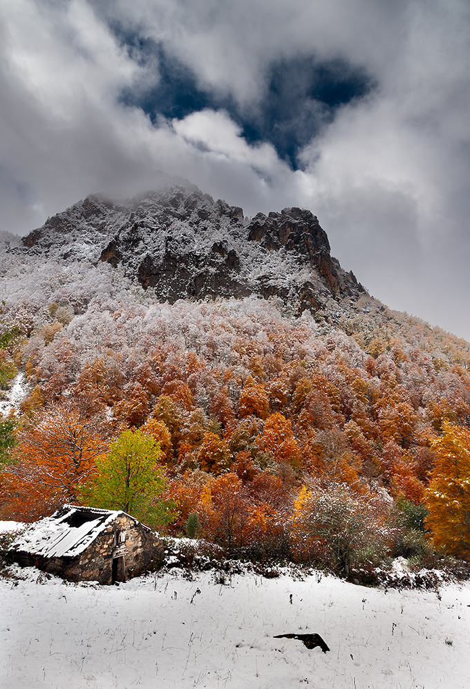 Majada Mongallu Redes