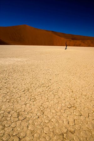 Recuerdos de África. Desierto de Namib